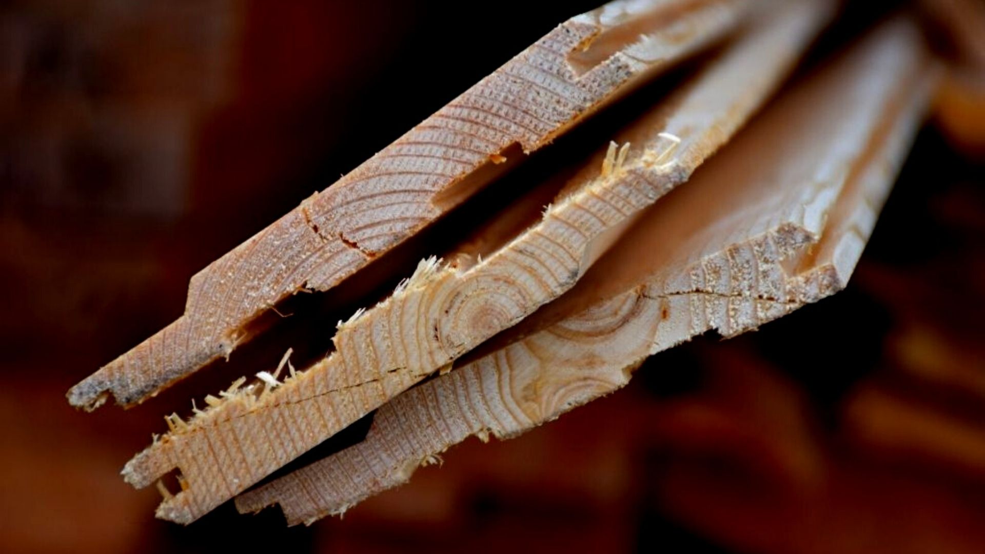 Вагонка из различных пород древесины: как не нарваться на подделку